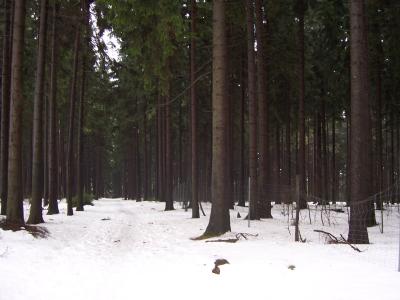 100_1317.JPG