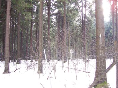 100_1318.JPG