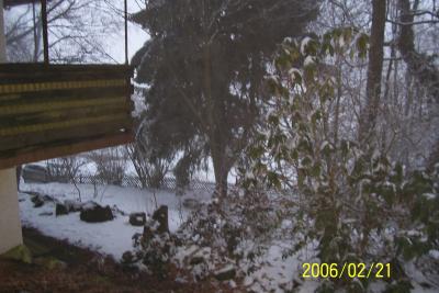 100_0682.JPG