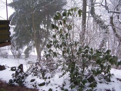 100_1363.JPG