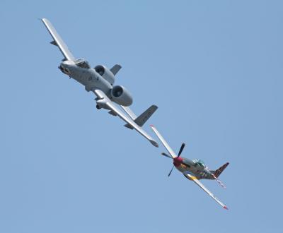 A-10 Warthog / P-51 Mustang
