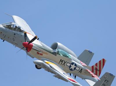 A -10 Warthog / P-51 Mustang