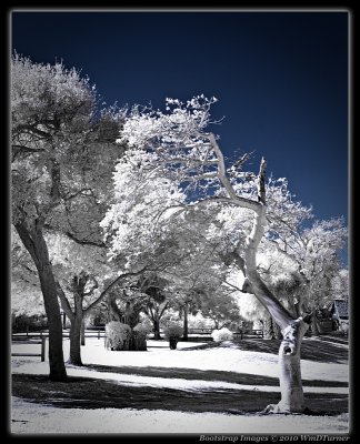 Infrared Experiences