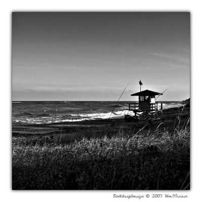 PB043025-01a1r.jpg