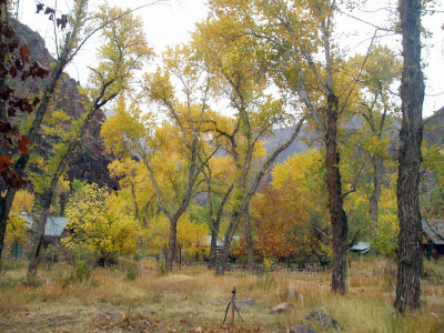 Fall Colors At Phantom Ranch
