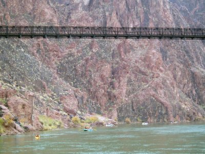 Colorado River Rafters