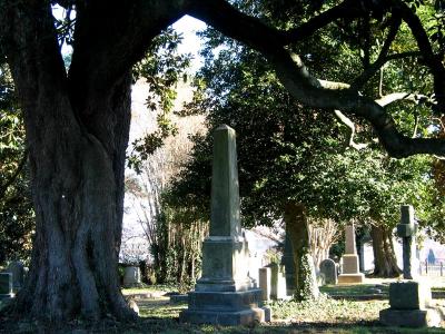 Magnolia & graves