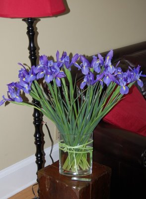 housewarming irises from my poppa