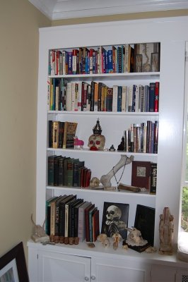 living room bookcase, left