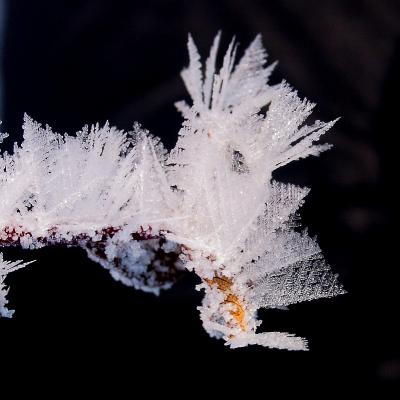 Frozen fog