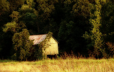 828_01153.jpg