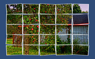 828_2154_Maredas Cartoon Action crop BP.jpg