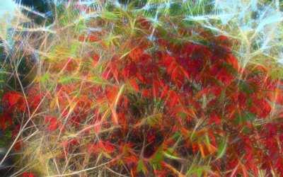 Fall Spectacular a.jpg