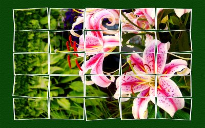 828_01277b copy.jpg