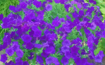 828_01279_Abstraction.jpg