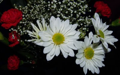 g3/54/333254/3/122850907.TbnJCfAc.jpg