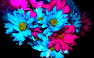DSC01494ColoredCrop2.jpg