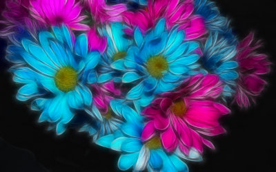 DSC01494ColoredCrop3.jpg