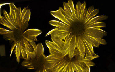 Sunny Flowers in the Dark.jpg