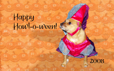 DSC01566 Howloween.jpg