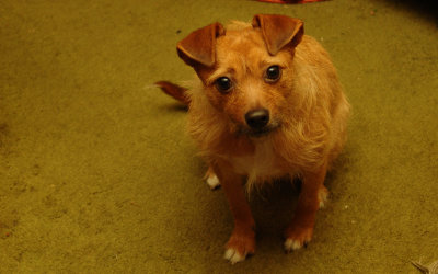 DSC02570 crop.jpg