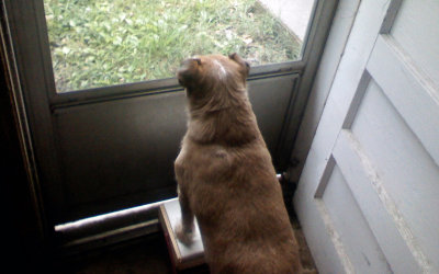On Guard.jpg