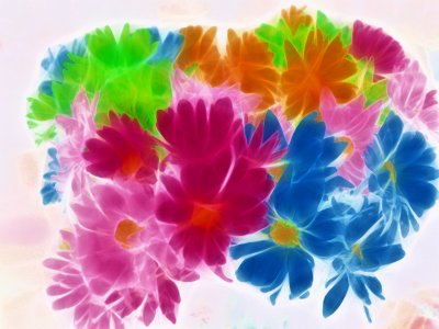 In the Negative