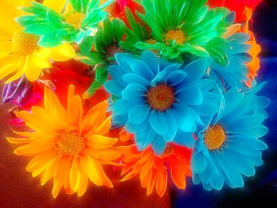Painted Daisies Glow 1