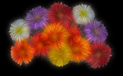 Multi Flower