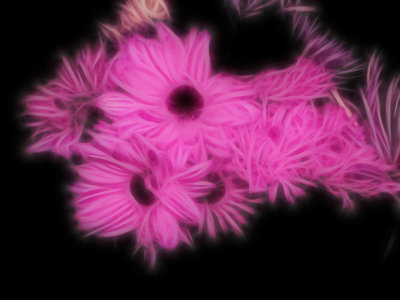 Highly Pink