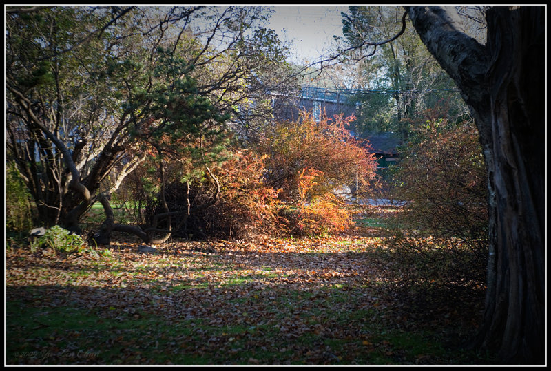 Ashbridge Park