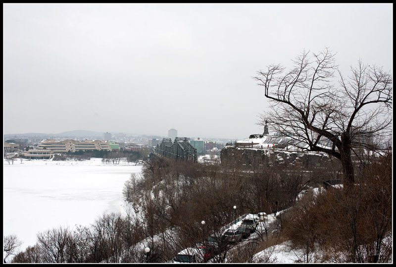 web_IMG_3144.jpg