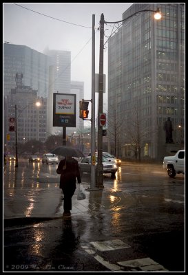 Crossing in the Rain