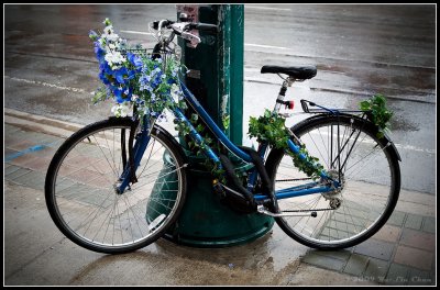 Pretty Bicycle