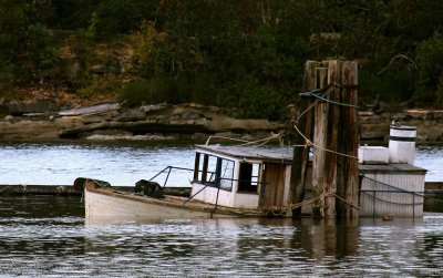 g3/54/364954/3/100718133.vadJCdtQ.jpg