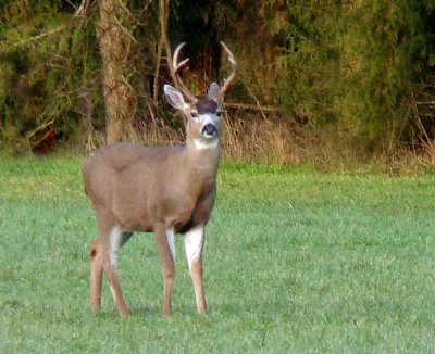 Way out in his field