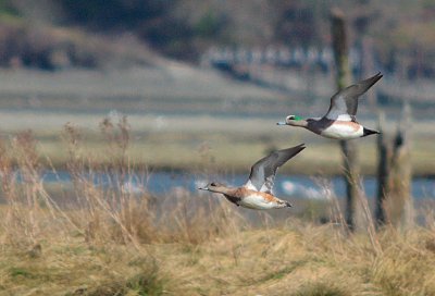 g3/54/364954/3/122840956.r5flUN5a.jpg