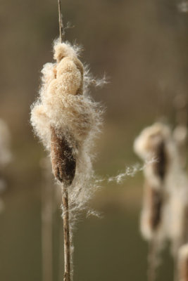 g3/54/364954/3/122889091.pj64yxB5.jpg
