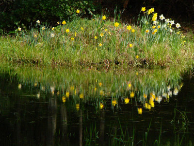 g3/54/364954/3/123503466.Oe782dE4.jpg