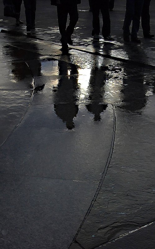 Shadows