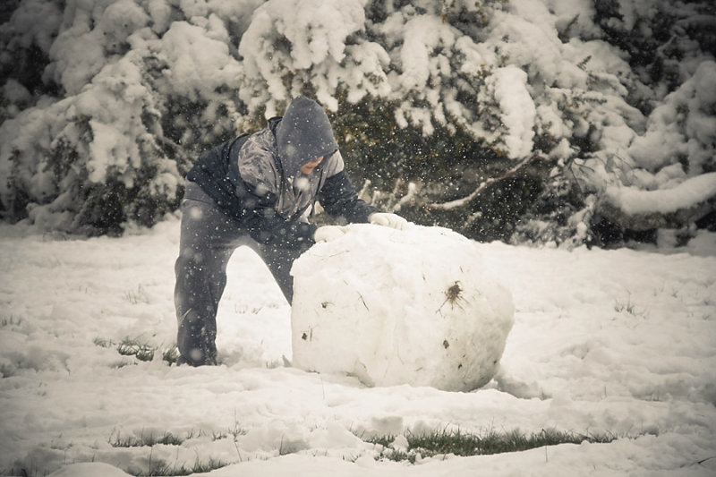 Rolling the snow