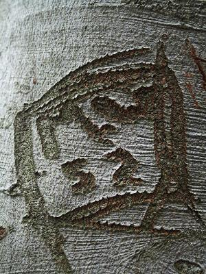 Tree carving