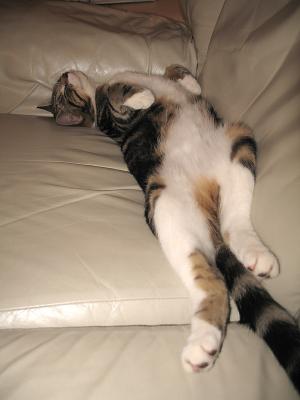 Sleepy 4