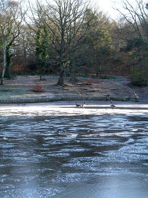 g3/54/380754/3/54072597.Icylake4.jpg