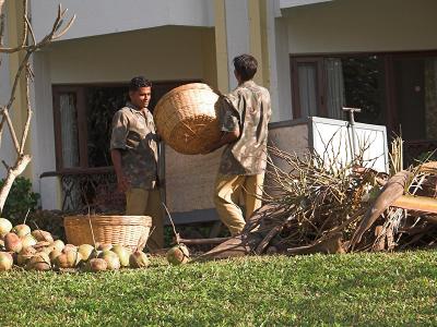 Baskets