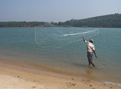Casting the net 2