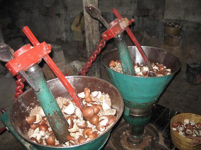 Coconut grinders