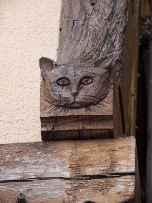 g3/54/380754/3/58301599.Cattimber.jpg