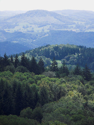 Foret de Livradois