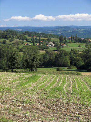 Auvergne view 3